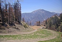 2025-05-18_21-17-09
