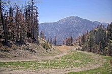 2025-05-18_21-33-14