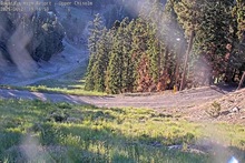 2025-06-22_02-20-24