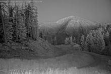2025-08-02_12-24-34