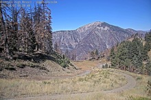 2025-08-02_16-42-37
