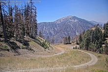 2025-08-02_20-11-41