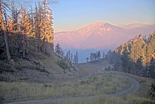 2025-08-03_13-36-22