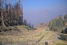 2025-08-03_14-57-24