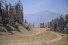 2025-08-03_20-05-46