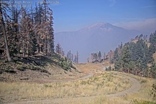 2025-08-04_17-06-19