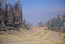 2025-08-04_17-22-17