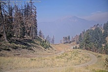 2025-08-04_17-38-19