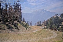 2025-08-04_19-46-48