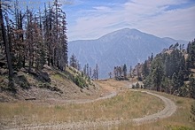 2025-08-04_20-51-16