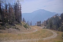 2025-08-04_21-55-46