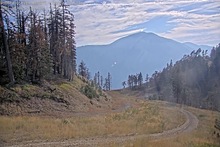2025-08-05_01-09-51