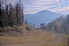 2025-08-05_01-41-53