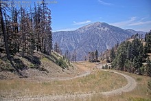2025-08-06_20-26-44