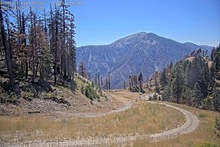 2025-08-07_22-06-14