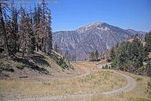 2025-08-09_18-46-35