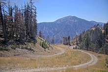 2025-08-09_22-18-03