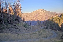 2025-08-11_13-42-00