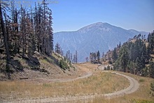 2025-08-12_21-02-44