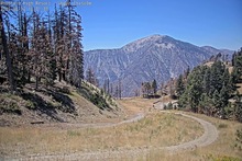 2025-08-14_19-35-11