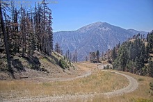 2025-08-14_20-56-32
