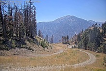 2025-08-14_21-45-05