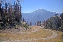 2025-08-14_22-01-09