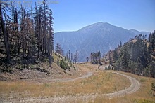 2025-08-14_22-17-10
