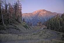 2025-08-15_12-47-25