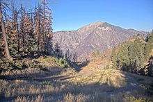 2025-08-15_14-39-58