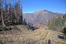 2025-08-15_14-55-59