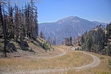 2025-08-15_21-07-21