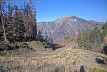 2025-08-17_15-04-36