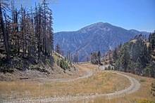 2025-08-19_22-13-30