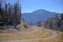 2025-08-19_23-17-53