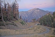 2025-08-21_13-21-41