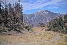 2025-08-21_18-31-14