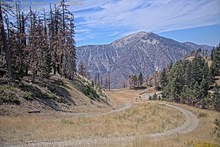 2025-08-21_19-20-06