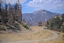 2025-08-22_19-24-28
