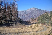 2025-09-13_15-28-38