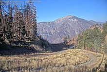 2025-09-15_15-09-51