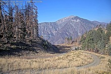 2025-09-15_15-42-06