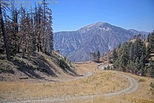 2025-09-15_19-44-32