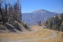 2025-09-15_20-00-47