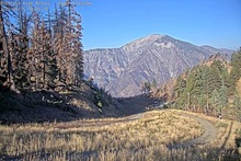 2025-09-16_15-09-49
