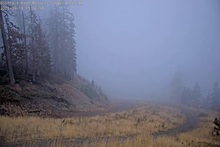 2025-09-19_02-09-03