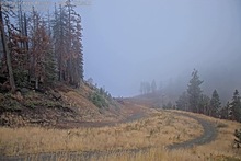 2025-09-19_13-55-12