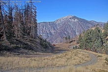2025-09-21_16-51-31