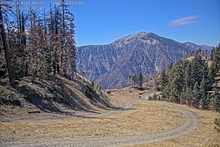2025-10-02_19-40-31