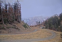 2025-10-03_13-41-50